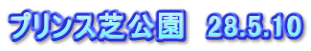 プリンス芝公園　28.5.10
