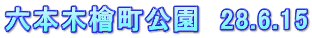 六本木檜町公園　28.6.15