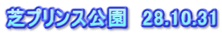 芝プリンス公園　28.10.31