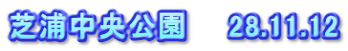 芝浦中央公園　　28.11.12