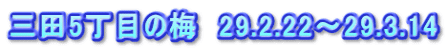 三田5丁目の梅　29.2.22～29.3.14