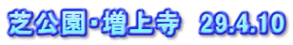 芝公園・増上寺　29.4.10