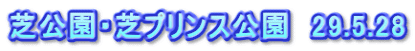芝公園・芝プリンス公園　29.5.28