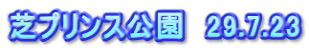 芝プリンス公園　29.7.23