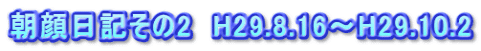 朝顔日記その2　H29.8.16～H29.10.2