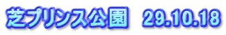 芝プリンス公園　29.10.18