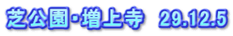 芝公園・増上寺　29.12.5