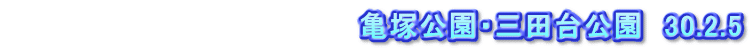 　　　　　　　　　　　　　　　　　亀塚公園・三田台公園　30.2.5