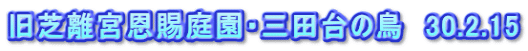 旧芝離宮恩賜庭園・三田台の鳥　30.2.15