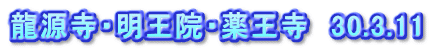 龍源寺・明王院・薬王寺　30.3.11