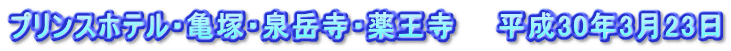 プリンスホテル・亀塚・泉岳寺・薬王寺　　平成30年3月23日