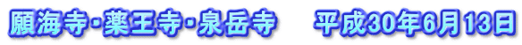 願海寺・薬王寺・泉岳寺　　平成30年6月13日