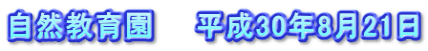 自然教育園　　平成30年8月21日