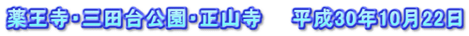 薬王寺・三田台公園・正山寺　　平成30年10月22日