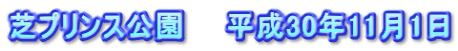 芝プリンス公園　　平成30年11月1日