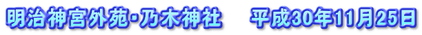 明治神宮外苑・乃木神社　　平成30年11月25日