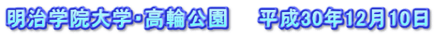 明治学院大学・高輪公園　　平成30年12月10日