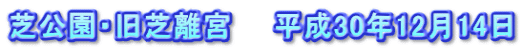 芝公園・旧芝離宮　　平成30年12月14日
