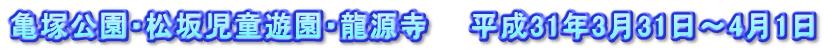 亀塚公園・松坂児童遊園・龍源寺　　平成31年3月31日～4月1日