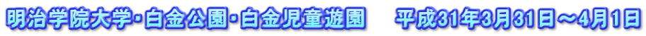 明治学院大学・白金公園・白金児童遊園　　平成31年3月31日～4月1日