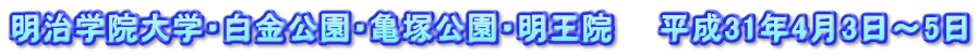 明治学院大学・白金公園・亀塚公園・明王院　　平成31年4月3日～5日