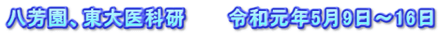 八芳園、東大医科研　　　令和元年5月9日～16日