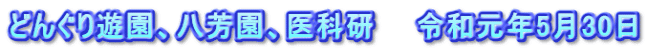 どんぐり遊園、八芳園、医科研　　令和元年5月30日