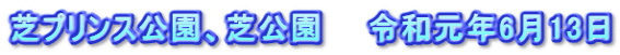 芝プリンス公園、芝公園　　令和元年6月13日
