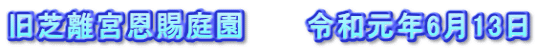 旧芝離宮恩賜庭園　　　令和元年6月13日
