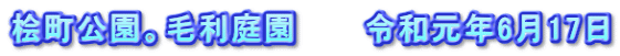 桧町公園。毛利庭園　　　令和元年6月17日