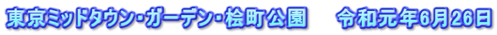 東京ミッドタウン・ガーデン・桧町公園　　令和元年6月26日