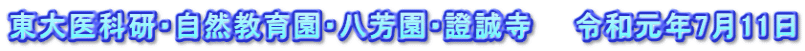 東大医科研・自然教育園・八芳園・證誠寺　　令和元年7月11日