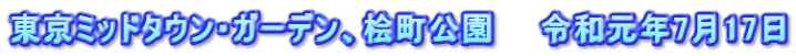 東京ミッドタウン・ガーデン、桧町公園　　令和元年7月17日