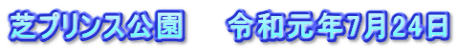 芝プリンス公園　　令和元年7月24日