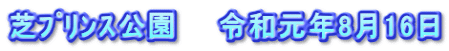 芝ﾌﾟﾘﾝｽ公園　　令和元年8月16日