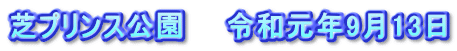 芝プリンス公園　　令和元年9月13日