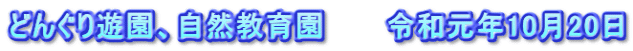 どんぐり遊園、自然教育園　　　令和元年10月20日