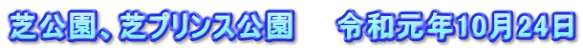 芝公園、芝プリンス公園　　令和元年10月24日