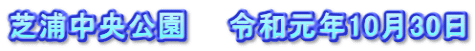 芝浦中央公園　　令和元年10月30日
