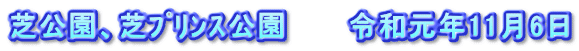 芝公園、芝ﾌﾟﾘﾝｽ公園　　　令和元年11月6日