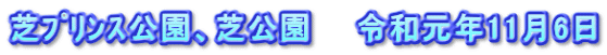 芝ﾌﾟﾘﾝｽ公園、芝公園　　令和元年11月6日