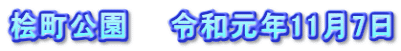 桧町公園　　令和元年11月7日