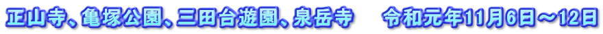 正山寺、亀塚公園、三田台遊園、泉岳寺　　令和元年11月6日～12日