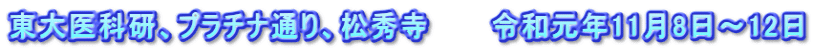 東大医科研、プラチナ通り、松秀寺　　　令和元年11月8日～12日