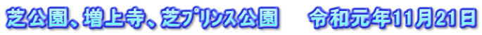 芝公園、増上寺、芝ﾌﾟﾘﾝｽ公園　　令和元年11月21日
