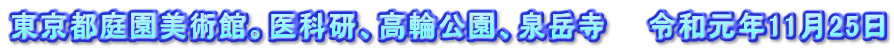東京都庭園美術館。医科研、高輪公園、泉岳寺　　令和元年11月25日