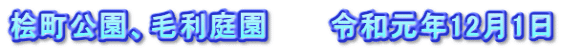桧町公園、毛利庭園　　　令和元年12月1日