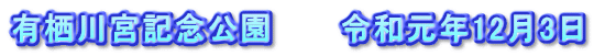 有栖川宮記念公園　　　令和元年12月3日
