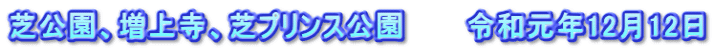 芝公園、増上寺、芝プリンス公園　　　令和元年12月12日