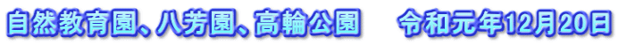自然教育園、八芳園、高輪公園　　令和元年12月20日